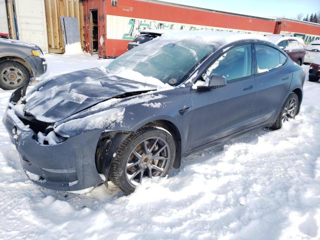 TESLA MODEL 3 2023 with VIN LRW3E1FA9PC899953 - Photo from auction