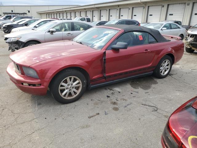 FORD MUSTANG 2005 with VIN 1ZVFT84N755250252 - Photo from auction