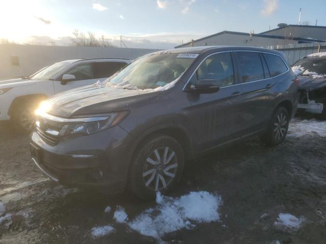 HONDA PILOT EX 2019 with VIN 5FNYF6H38KB063497 - Photo from auction