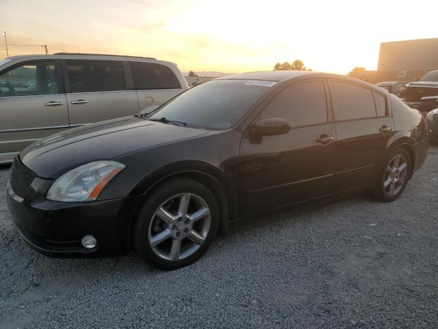 NISSAN MAXIMA SE 2005 with VIN 1N4BA41E15C804309 - Photo from auction