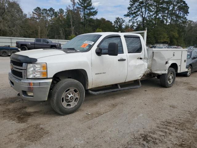 CHEVROLET SILVERADO 2013 with VIN 1GB1CVCG9DF191703 - Photo from auction