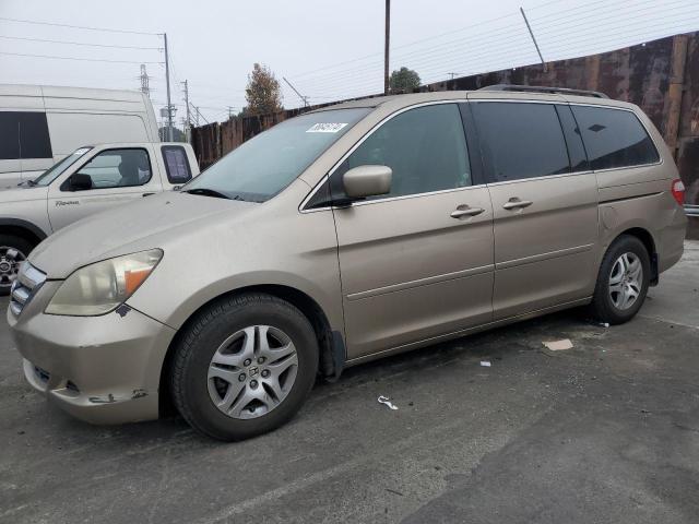 HONDA ODYSSEY EX 2006 with VIN 5FNRL38406B415806 - Photo from auction