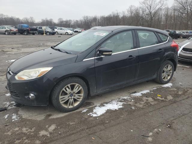 FORD FOCUS SEL 2012 with VIN 1FAHP3M23CL384649 - Photo from auction
