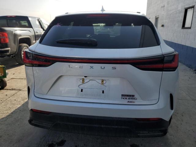 Photo 6 from auction – 2023 LEXUS NX 250 with VIN JTJADCEZ7P2002342