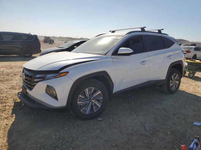 HYUNDAI TUCSON BLU 2024 with VIN KM8JBCD10RU211719 - Photo from auction