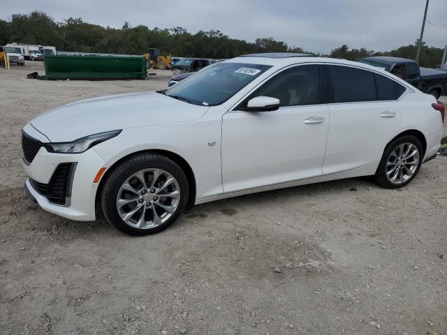 CADILLAC CT5 PREMIU 2023 with VIN 1G6DN5RW5P0106187 - Photo from auction