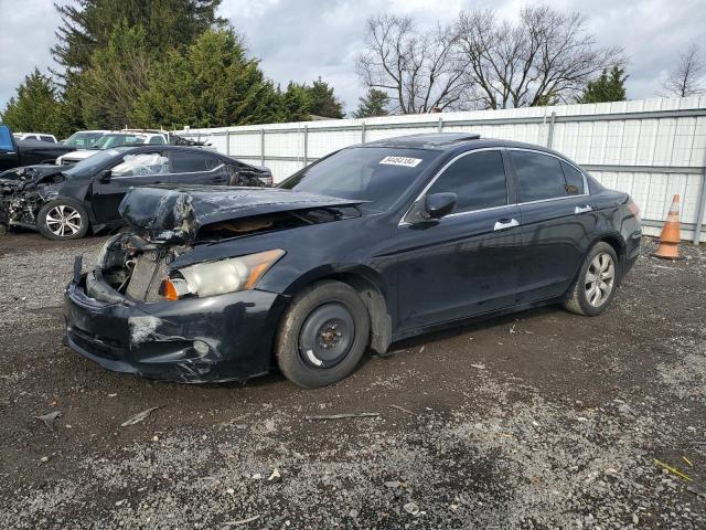 HONDA ACCORD EXL 2008 with VIN 1HGCP36828A034889 - Photo from auction