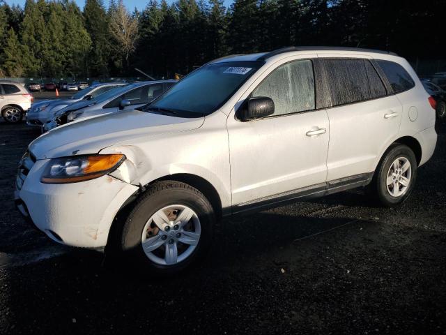 HYUNDAI SANTA FE G 2009 with VIN 5NMSG13D09H330355 - Photo from auction