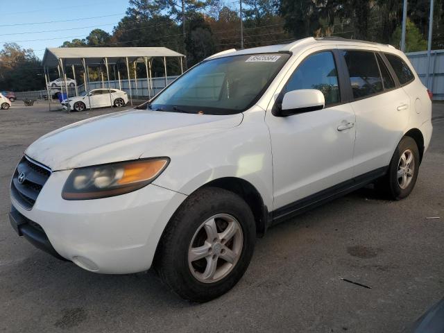 HYUNDAI SANTA FE G 2007 with VIN 5NMSG13D17H083456 - Photo from auction