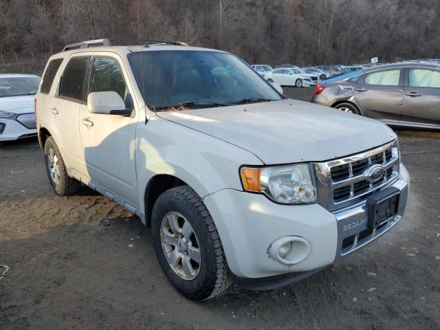 Photo 4 from auction – 2009 FORD ESCAPE with VIN 1FMCU94G09KC13072