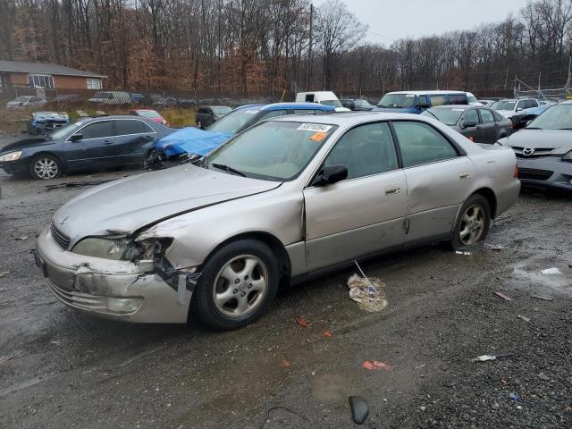 LEXUS ES 300 1999 with VIN JT8BF28GXX5067205 - Photo from auction