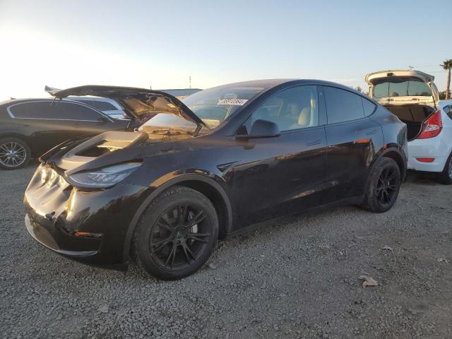 TESLA MODEL Y 2023 with VIN 7SAYGDEE8PA073543 - Photo from auction