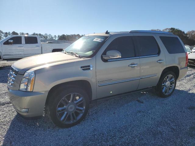CADILLAC ESCALADE L 2007 with VIN 1GYEC63807R338323 - Photo from auction