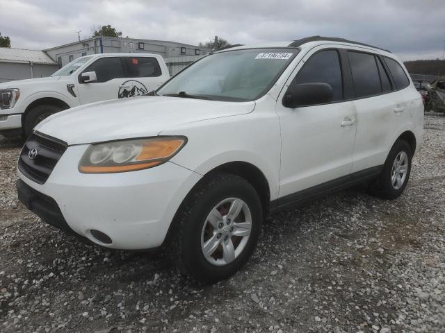 HYUNDAI SANTA FE G 2009 with VIN 5NMSG13D59H255913 - Photo from auction