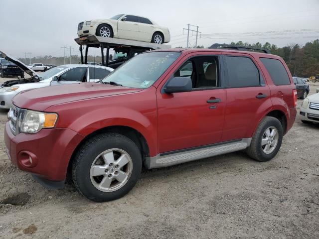 Photo 1 from auction – 2010 FORD ESCAPE XLT with VIN 1FMCU0DG1AKB62214