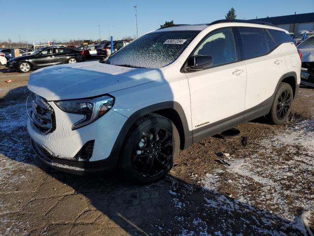 GMC TERRAIN SL 2020 with VIN 3GKALPEV9LL342938 - Photo from auction