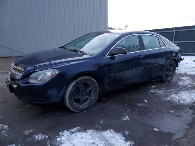 CHEVROLET MALIBU LS 2012 with VIN 1G1ZB5E01CF342655 - Photo from auction