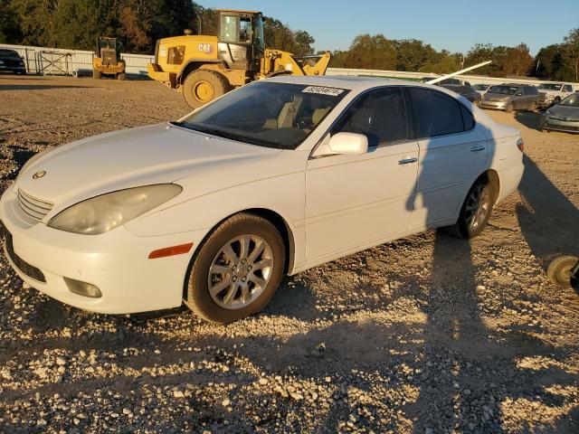 LEXUS ES 300 2003 with VIN JTHBF30G530125214 - Photo from auction