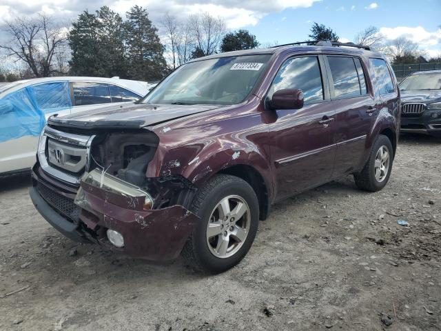 HONDA PILOT EXL 2011 with VIN 5FNYF4H50BB098573 - Photo from auction