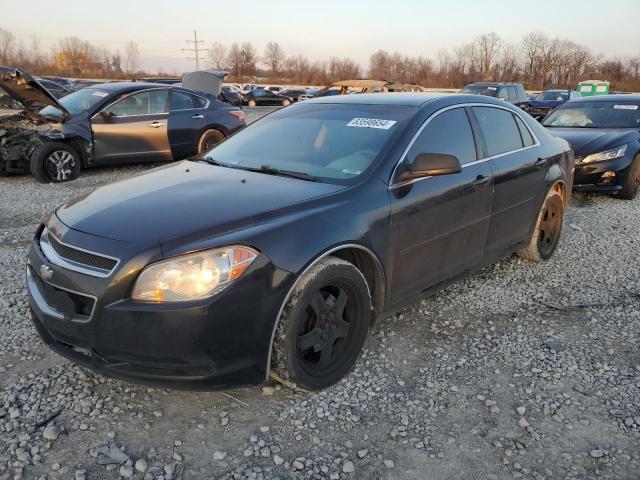 CHEVROLET MALIBU LS 2010 with VIN 1G1ZB5EB0AF303618 - Photo from auction