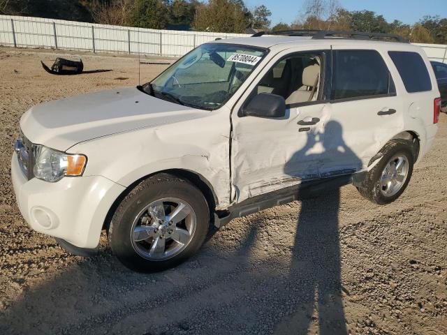FORD ESCAPE XLT 2011 with VIN 1FMCU0D74BKB53847 - Photo from auction
