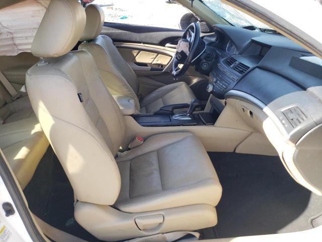 Photo 7 from auction – 2010 HONDA ACCORD EXL with VIN 1HGCS2B80AA004701