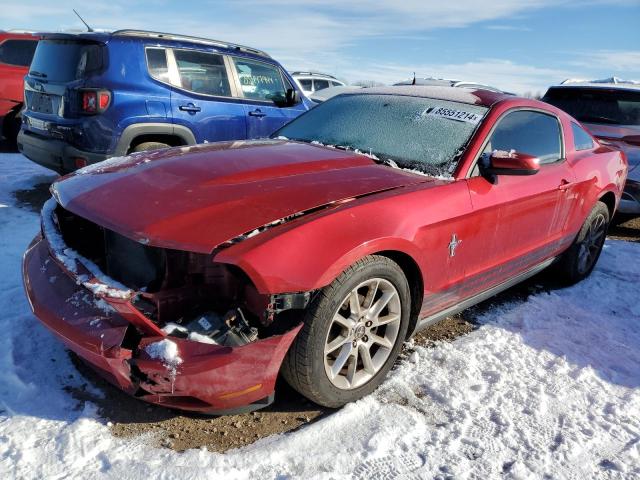 FORD MUSTANG 2010 with VIN 1ZVBP8AN8A5101883 - Photo from auction