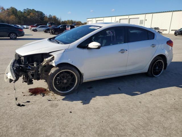 KIA FORTE EX 2014 with VIN KNAFZ4A86E5065308 - Photo from auction
