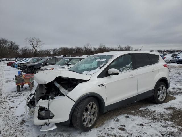 FORD ESCAPE SEL 2013 with VIN 1FMCU0HX2DUB45134 - Photo from auction