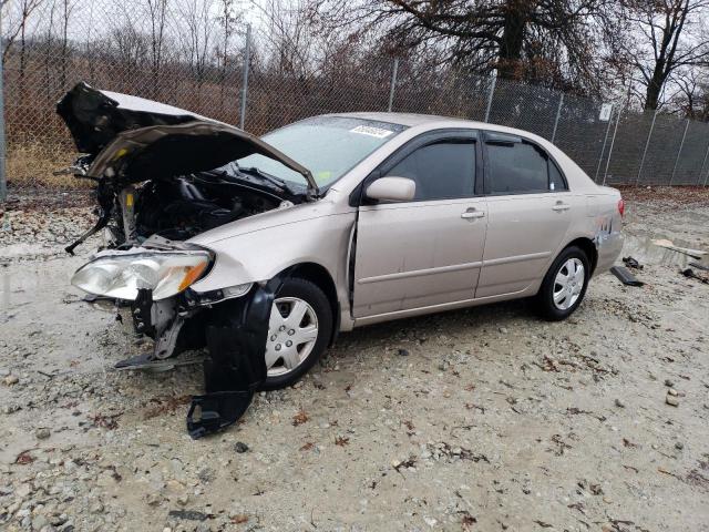 TOYOTA COROLLA CE 2003 with VIN 1NXBR32E03Z106661 - Photo from auction