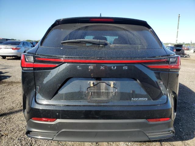 Photo 6 from auction – 2022 LEXUS NX 250 with VIN JTJADCAZ0N2001908