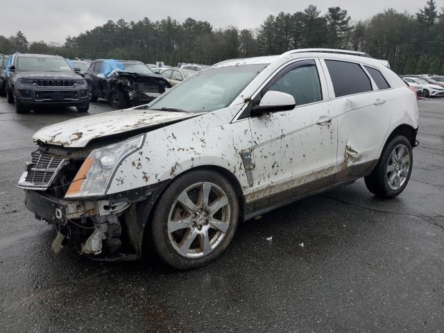 CADILLAC SRX PERFOR 2012 with VIN 3GYFNEE37CS604955 - Photo from auction