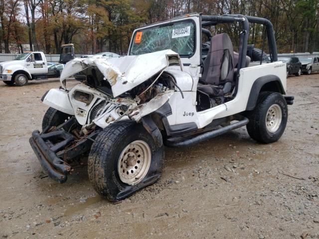 Photo 1 from auction – 1995 JEEP WRANGLER / with VIN 1J4FY19P7SP205053