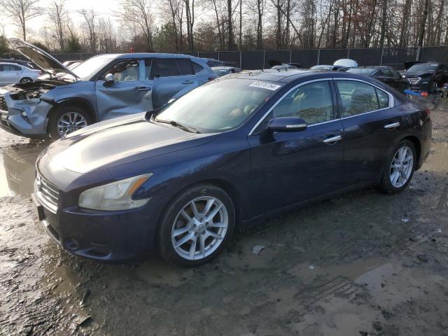 NISSAN MAXIMA S 2009 with VIN 1N4AA51E99C847531 - Photo from auction