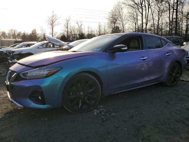 NISSAN MAXIMA PLA 2022 with VIN 1N4AA6FV9NC501827 - Photo from auction