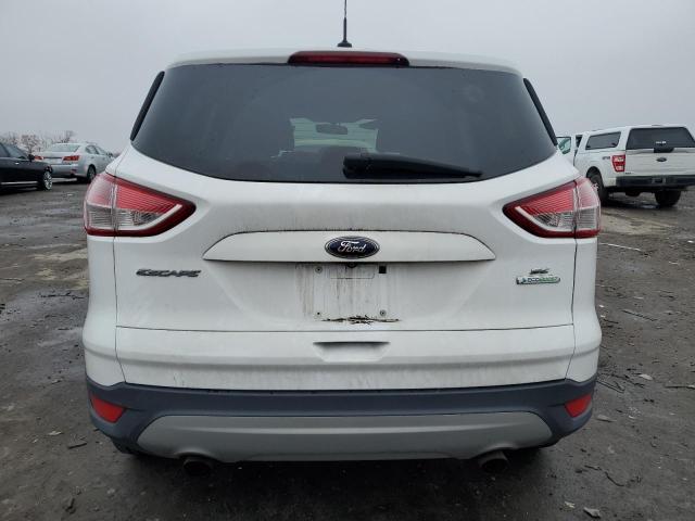 Photo 6 from auction – 2014 FORD ESCAPE SE with VIN 1FMCU0GX8EUE19746