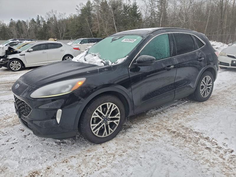 Photo 1 from auction – 2021 FORD ESCAPE SEL with VIN 1FMCU0H65MUA20409