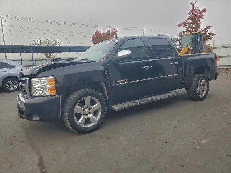 CHEVROLET SILVERADO 2011 مع رقم تعريف المركبة 3GCPCSE04BG338610 - صورة من المزاد