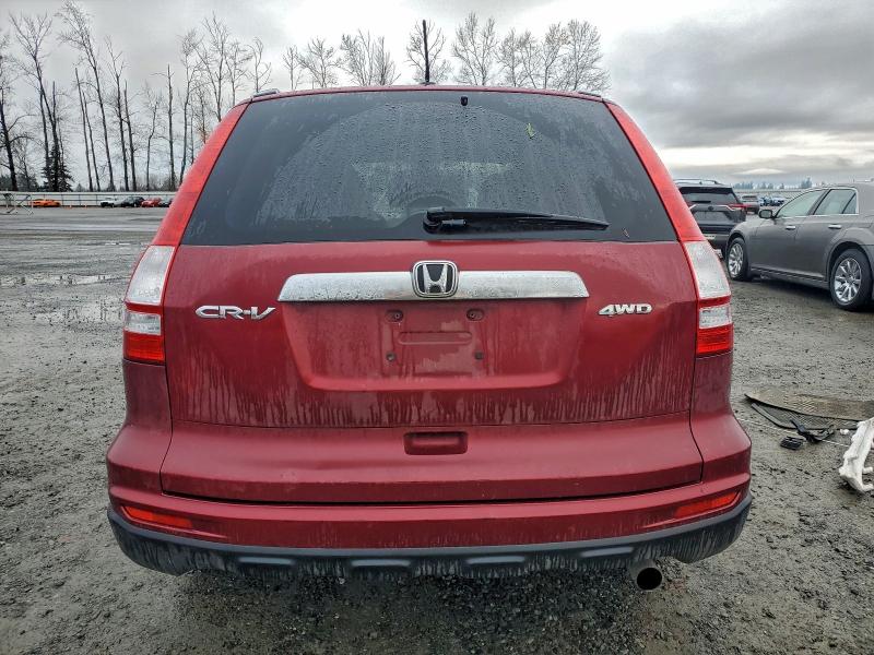 Photo 6 from auction – 2011 HONDA CR-V EXL with VIN JHLRE4H75BC021979