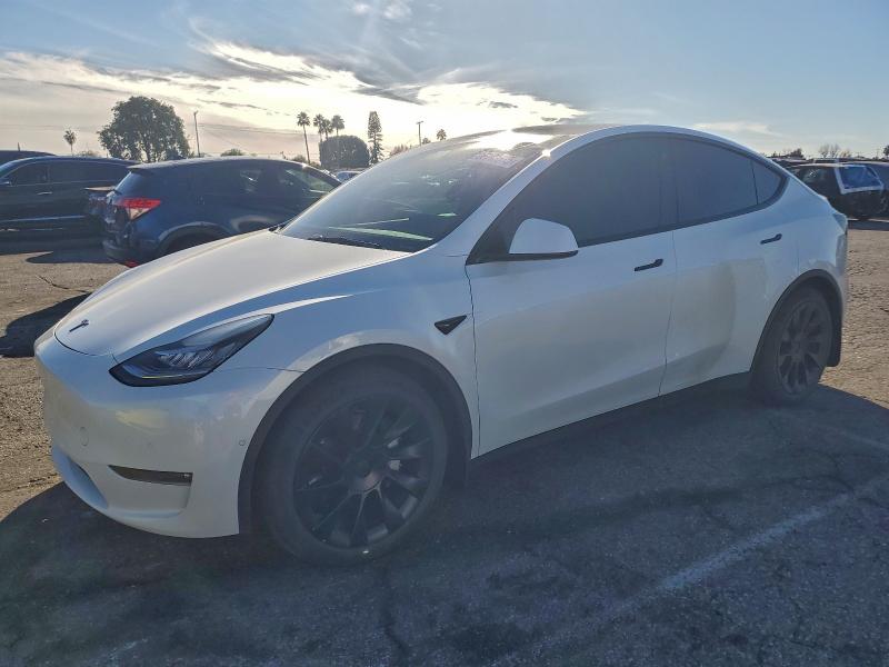 TESLA MODEL Y 2021 with VIN 5YJYGDEE1MF213279 - Photo from auction