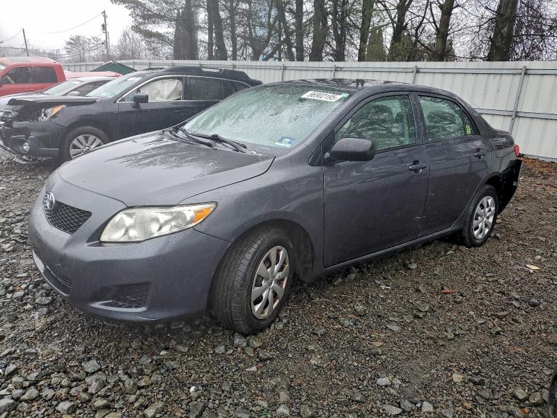 TOYOTA COROLLA BA 2010 with VIN 2T1BU4EE2AC265437 - Photo from auction