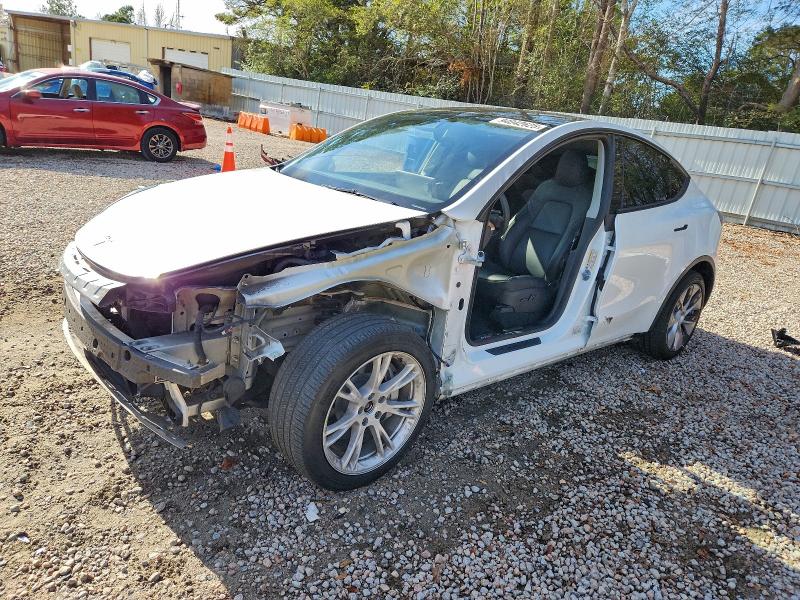 TESLA MODEL Y 2023 with VIN 7SAYGDEE0PA197791 - Photo from auction
