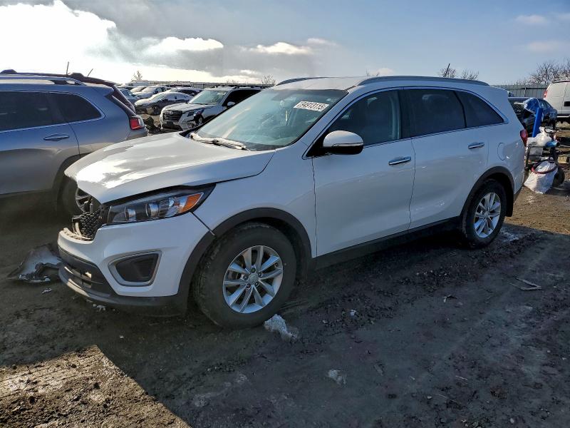 KIA SORENTO 2018 with VIN 5XYPG4A52JG393524 - Photo from auction