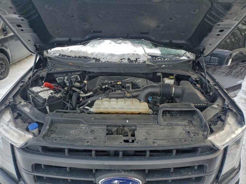 Photo 11 from auction – 2021 FORD F150 SUPER with VIN 1FTEW1EP7MFA35184