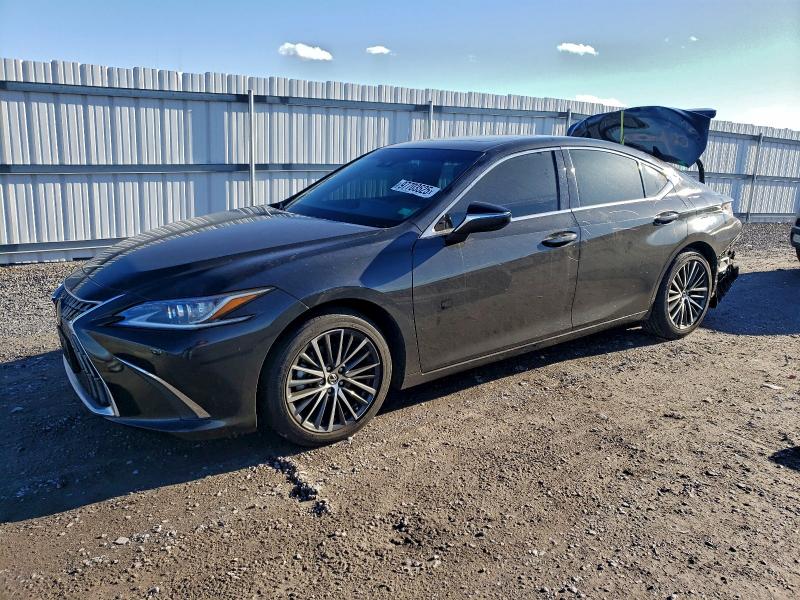 LEXUS ES 300H BA 2023 with VIN 58ADA1C1XPU033653 - Photo from auction