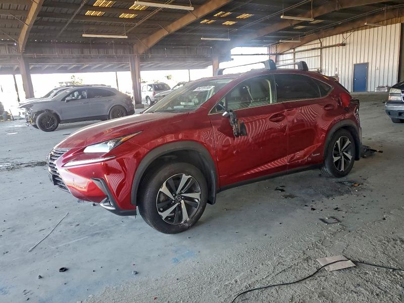 LEXUS NX 2020 with VIN JTJGJRDZ2L5008095 - Photo from auction
