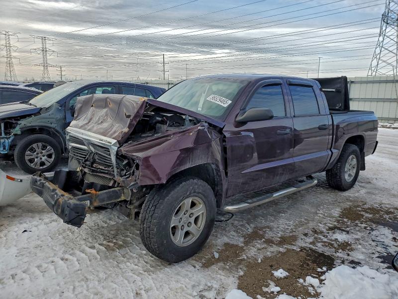 DODGE DAKOTA QUA 2005 with VIN 1D7HE48K95S293674 - Photo from auction