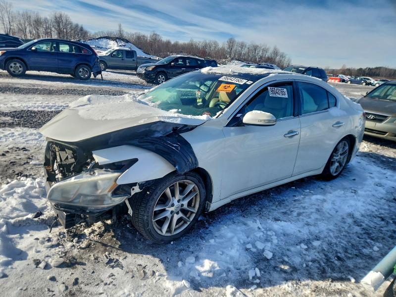 NISSAN MAXIMA S 2009 مع رقم تعريف المركبة 1N4AA51E09C847983 - صورة من المزاد