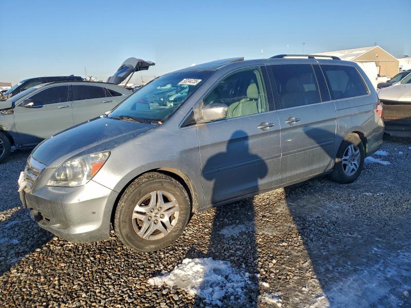 HONDA ODYSSEY EX 2006 with VIN 5FNRL38676B077757 - Photo from auction