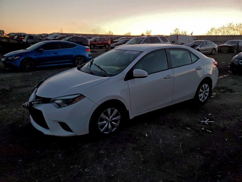 TOYOTA COROLLA L 2014 with VIN 2T1BURHE3EC093434 - Photo from auction